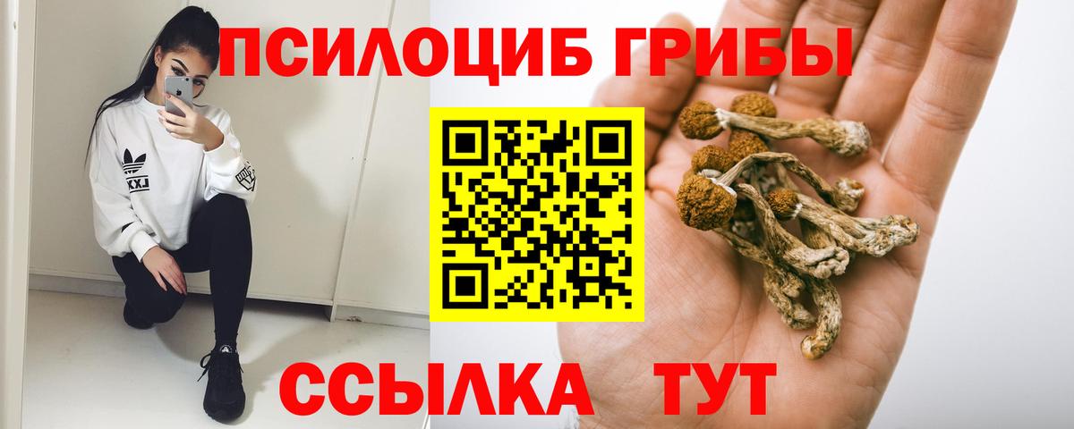 Новочеркасск  Псилоцибиновые грибы мухоморы  Псилоцибиновые грибы Psilocybine cubensis  Вход с VPN 